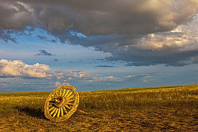 网飞旗下新作《Spirit Crossing》发布新宣传片 现已开放测试版注册